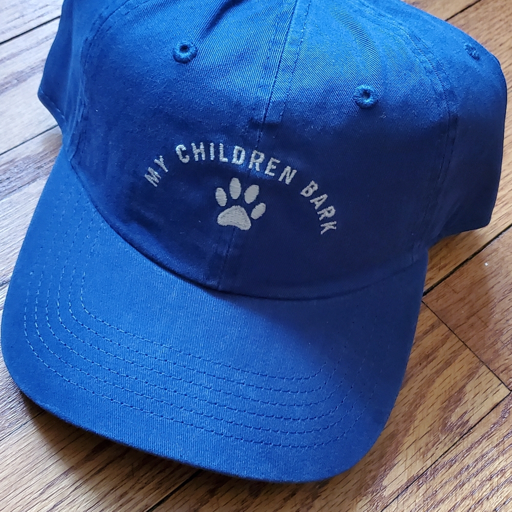 Wembley Blue Cap with White Embroidery